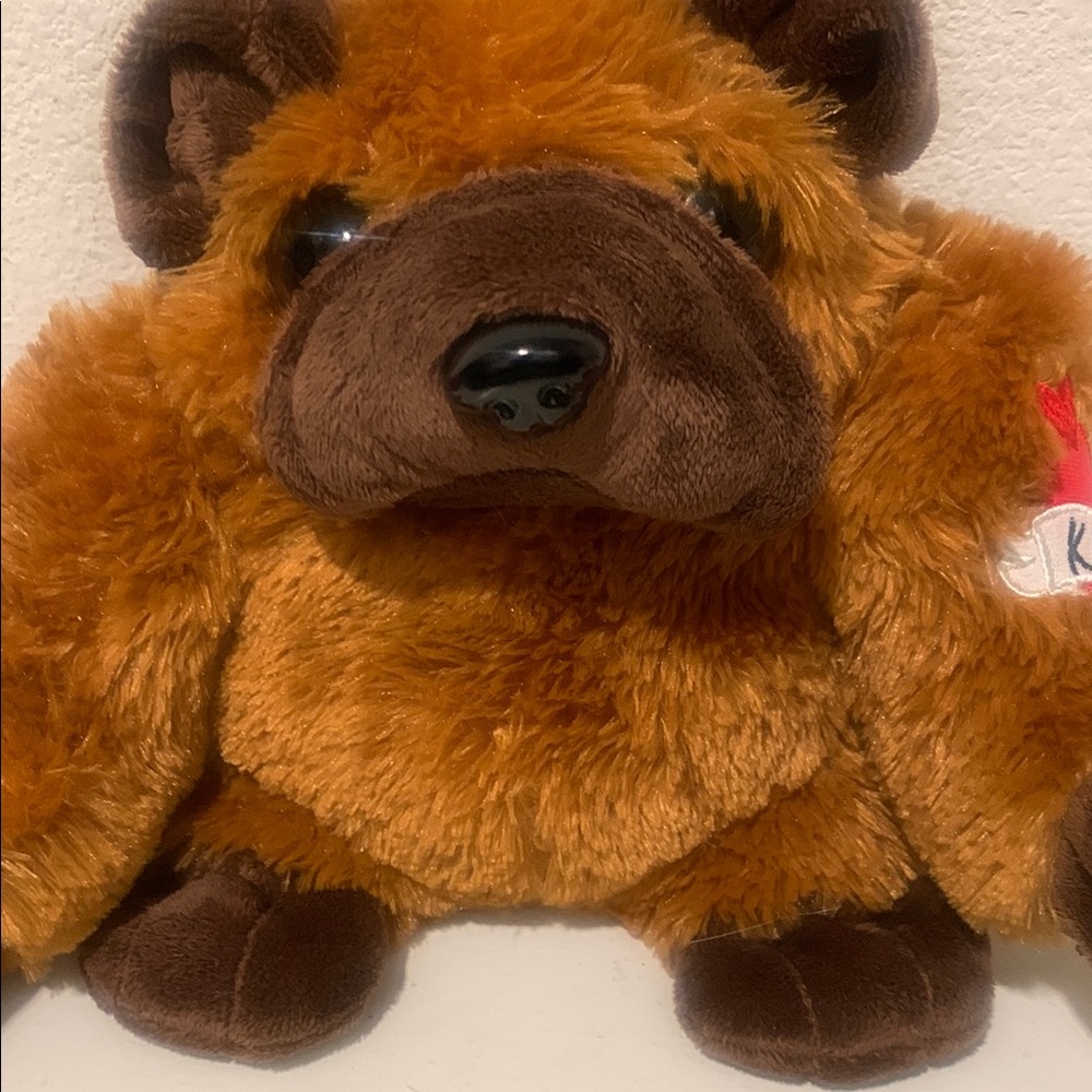 NOBULL Plush Bear in Rich Brown Tones